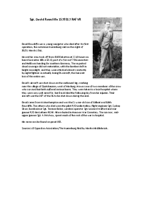 A preview of a PDF biography for Rowcliffe, David
